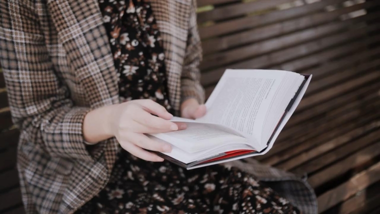 What To Do If The Dog Finds your Chocolate