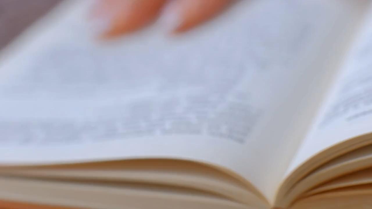 Toy Safety Tips for Your Dogs