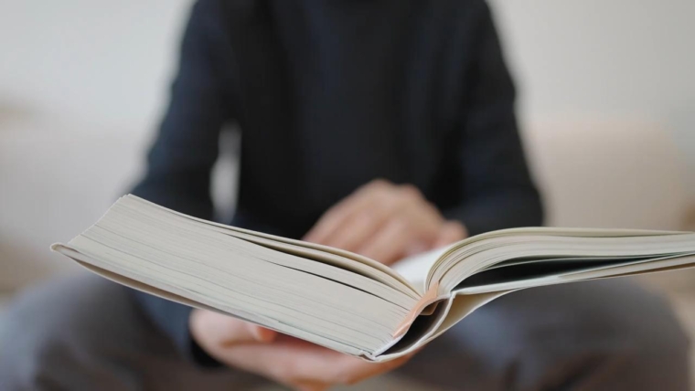 Cat Toys: Interactive Toys for Cats & Kittens